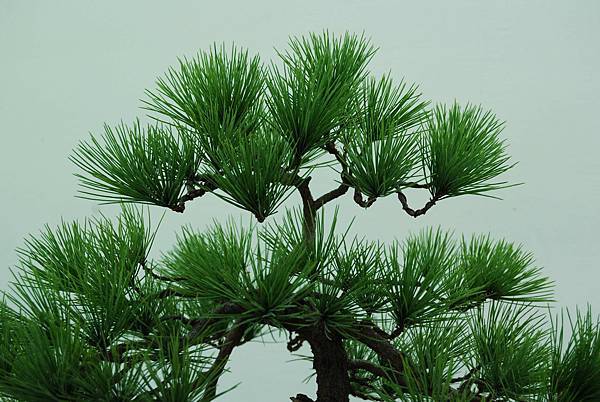 DSC_6388.jpg DSC_6388.jpg