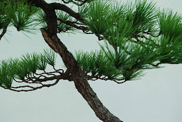 DSC_6390.jpg DSC_6390.jpg