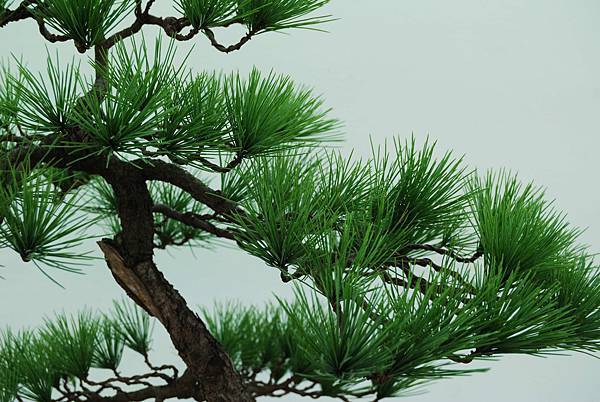 DSC_6391.jpg DSC_6391.jpg