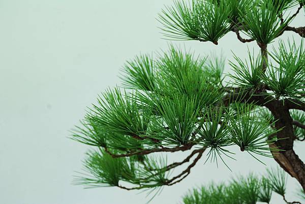 DSC_6392.jpg DSC_6392.jpg