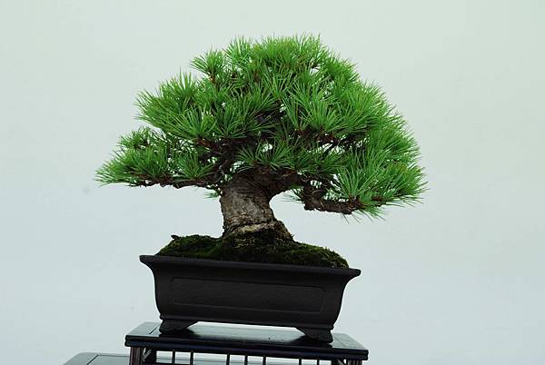 DSC_6395.jpg DSC_6395.jpg