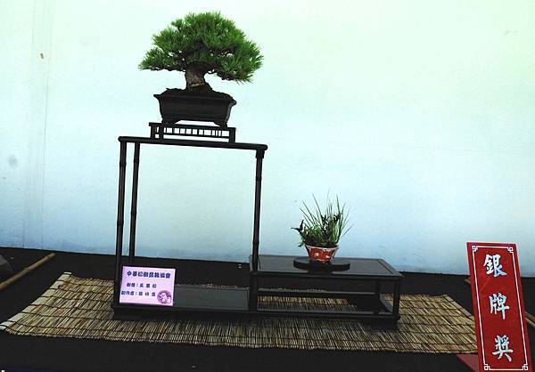 DSC_6393.jpg DSC_6393.jpg