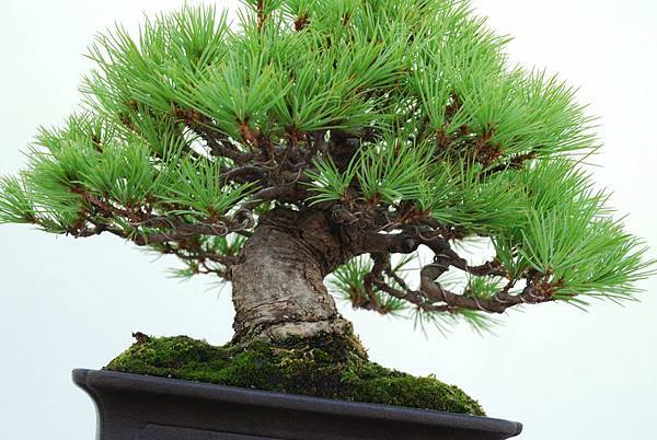 DSC_6397.jpg DSC_6397.jpg