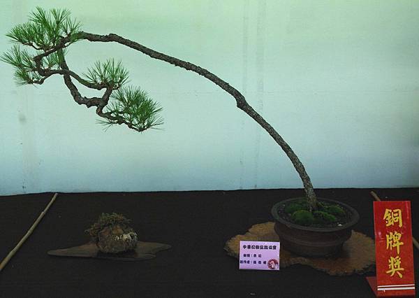 DSC_6401.jpg DSC_6401.jpg