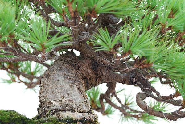 DSC_6400.jpg DSC_6400.jpg