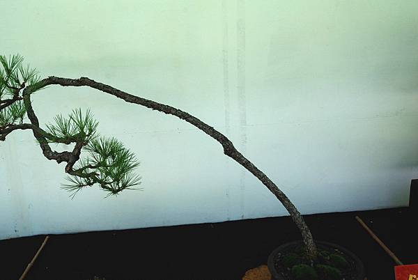 DSC_6404.jpg DSC_6404.jpg