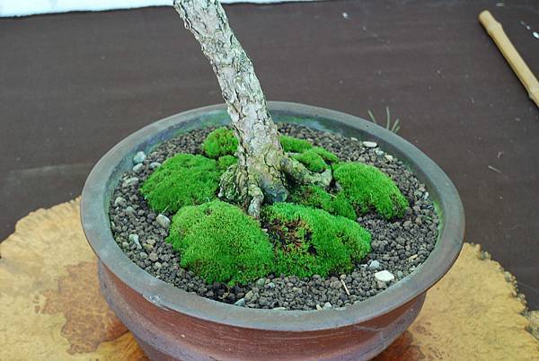 DSC_6403.jpg DSC_6403.jpg