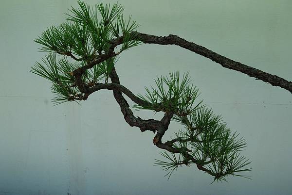 DSC_6405.jpg DSC_6405.jpg