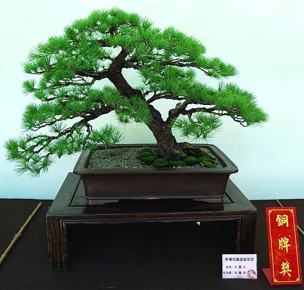 DSC_6406.jpg DSC_6406.jpg