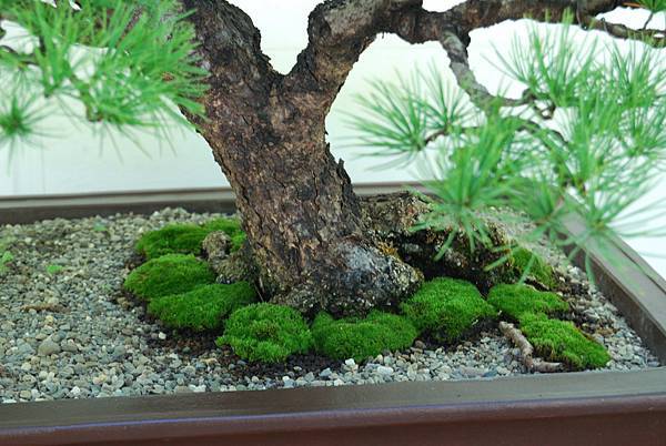 DSC_6408.jpg DSC_6408.jpg