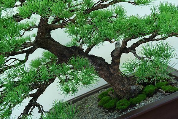 DSC_6409.jpg DSC_6409.jpg