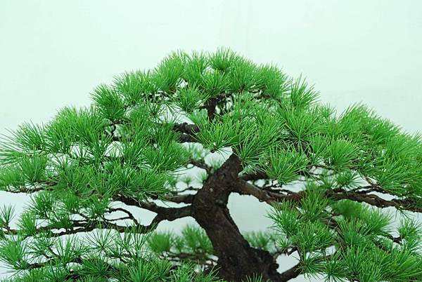 DSC_6410.jpg DSC_6410.jpg