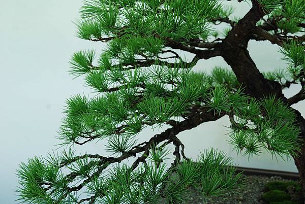 DSC_6411.jpg DSC_6411.jpg