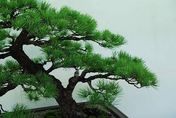 DSC_6412.jpg DSC_6412.jpg