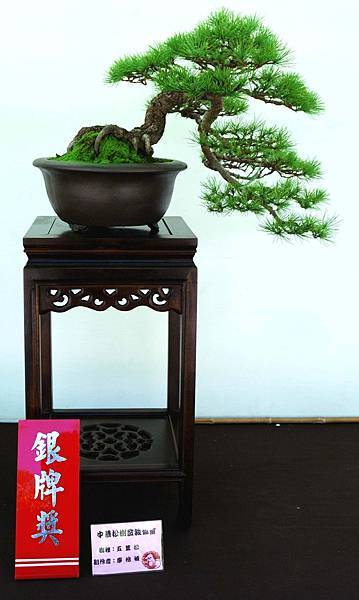 DSC_6413.jpg DSC_6413.jpg