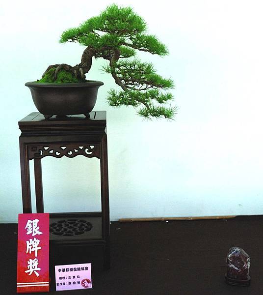 DSC_6416.jpg DSC_6416.jpg