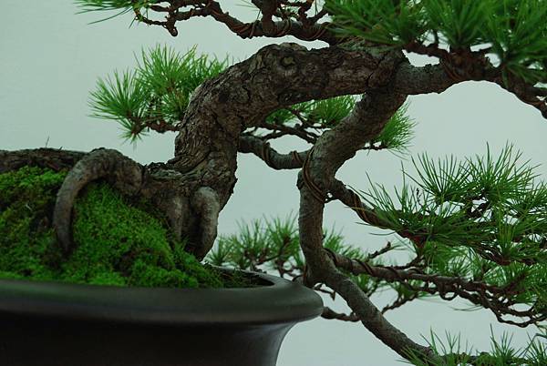 DSC_6419.jpg DSC_6419.jpg