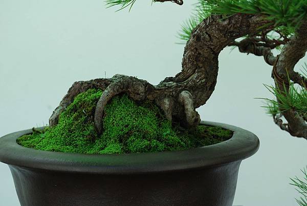 DSC_6417.jpg DSC_6417.jpg