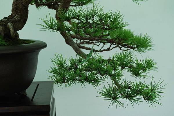 DSC_6421.jpg DSC_6421.jpg