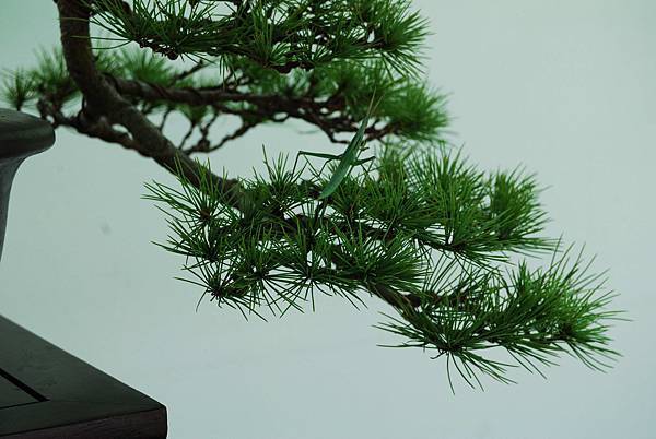 DSC_6420.jpg DSC_6420.jpg