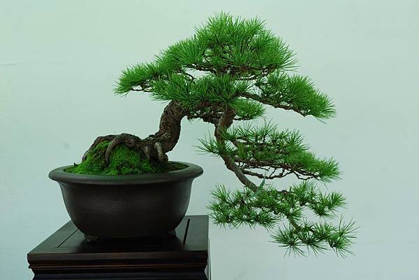 DSC_6422.jpg DSC_6422.jpg