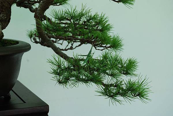 DSC_6423.jpg DSC_6423.jpg