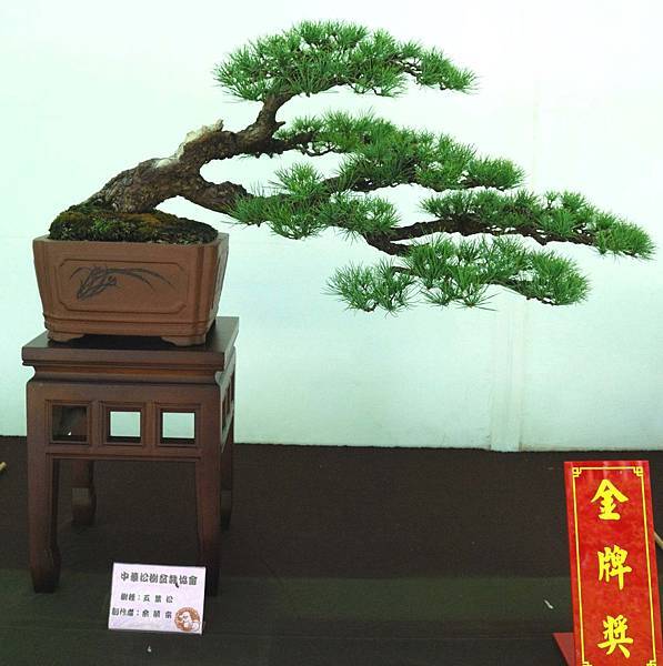 DSC_6425.jpg DSC_6425.jpg