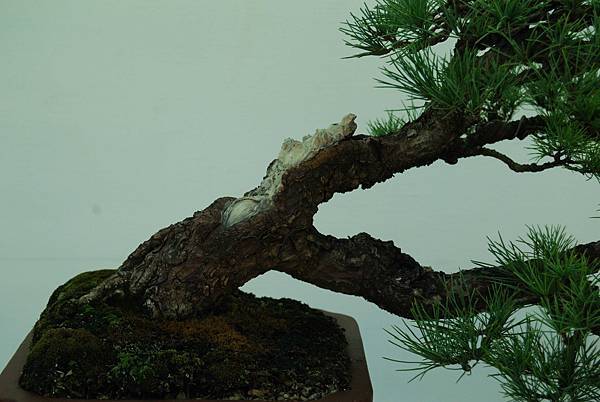 DSC_6427.jpg DSC_6427.jpg