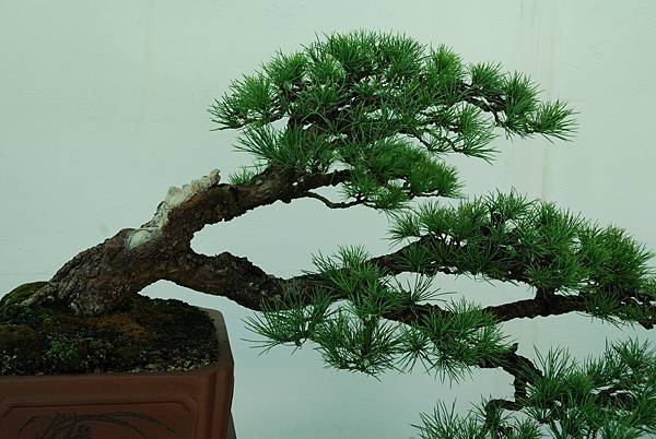 DSC_6428.jpg DSC_6428.jpg