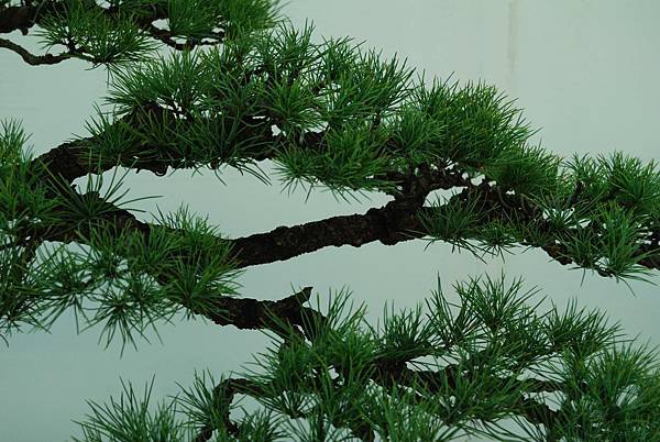 DSC_6430.jpg DSC_6430.jpg