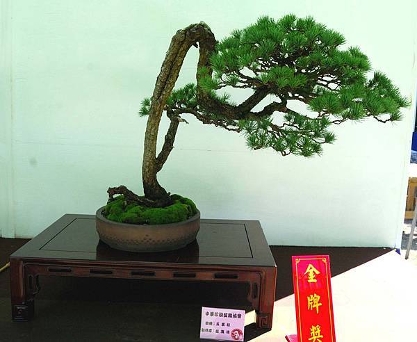 DSC_6432.jpg DSC_6432.jpg