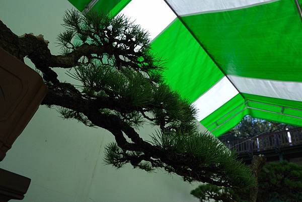 DSC_6431.jpg DSC_6431.jpg