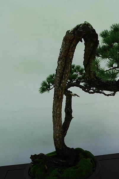 DSC_6434.jpg DSC_6434.jpg