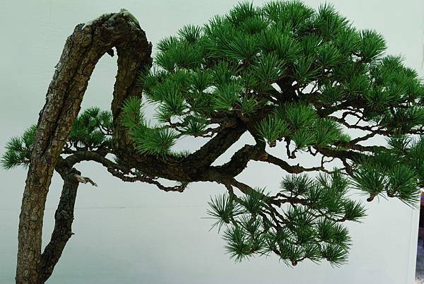 DSC_6435.jpg DSC_6435.jpg