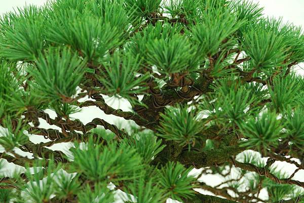 DSC_6436.jpg DSC_6436.jpg