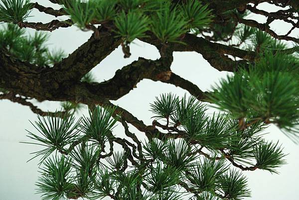 DSC_6437.jpg DSC_6437.jpg