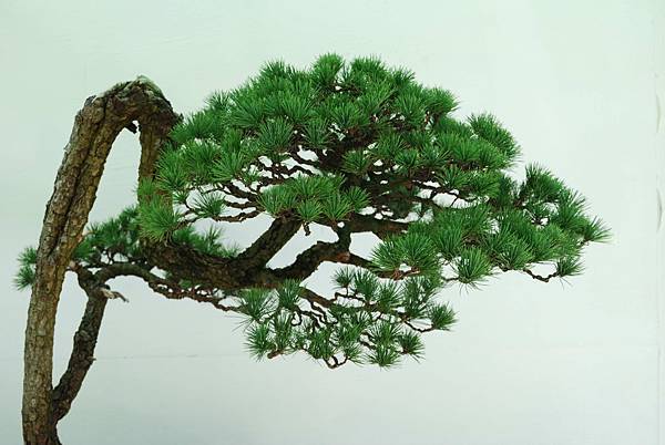 DSC_6438.jpg DSC_6438.jpg