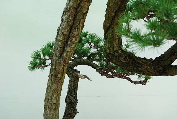 DSC_6439.jpg DSC_6439.jpg