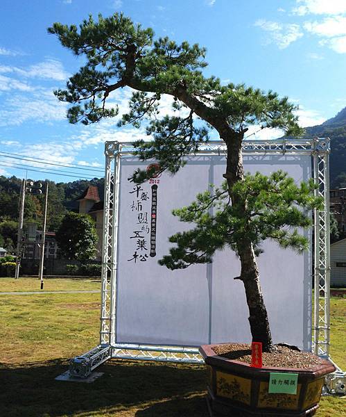 DSC_6441.jpg DSC_6441.jpg