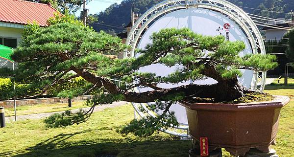 DSC_6443.jpg DSC_6443.jpg