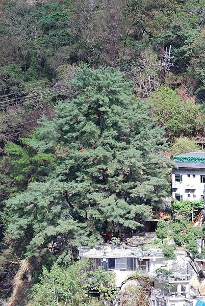 DSC_6453.jpg DSC_6453.jpg