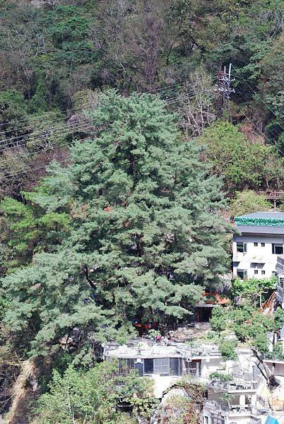 DSC_6454.jpg DSC_6454.jpg