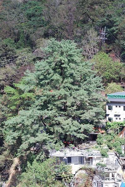 DSC_6455.jpg DSC_6455.jpg