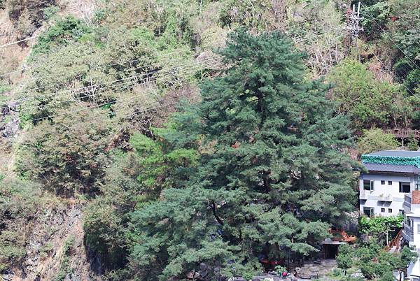 DSC_6456.jpg DSC_6456.jpg