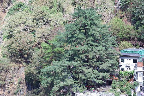 DSC_6457.jpg DSC_6457.jpg