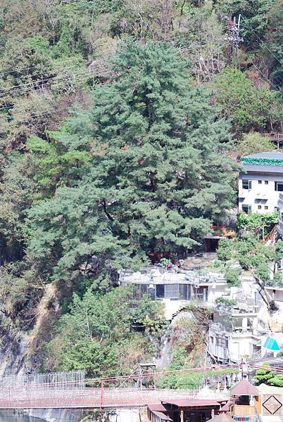 DSC_6458.jpg DSC_6458.jpg