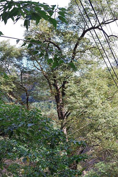 DSC_6460.jpg DSC_6460.jpg