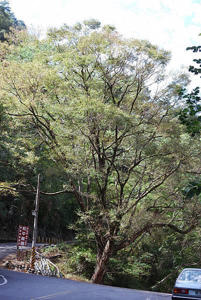 DSC_6461.jpg DSC_6461.jpg