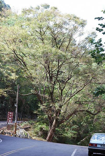 DSC_6462.jpg DSC_6462.jpg