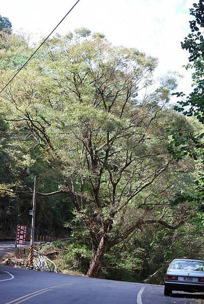 DSC_6463.jpg DSC_6463.jpg